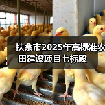 扶余市2025年高标准农田建设项目七标段