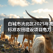 白城市洮北区2025年高标准农田建设项目电力工程四标段(图4) 白城市洮北区2025年高标准农田建设项目电力工程四标段(图4)