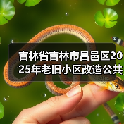 吉林省吉林市昌邑区2025年老旧小区改造公共区域维修项目（24个小区）民主街道施工二标段招标公告（图4）