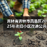 吉林省吉林市昌邑区2025年老旧小区改造公共区域维修项目（24个小区）民主街道施工二标段招标公告（图3）