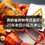 吉林省吉林市昌邑区2025年老旧小区改造公共区域维修项目（24个小区）民主街道施工二标段招标公告（图2）