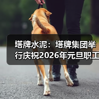 塔牌水泥：塔牌集团举行庆祝2026年元旦职工拔河比赛（图4）