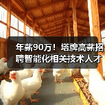 年薪90万！塔牌高薪招聘智能化相关技术人才！（图4）