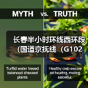 长春半小时环线西环段（国道京抚线（G102）长春绕越线）施工招标公告（图3）