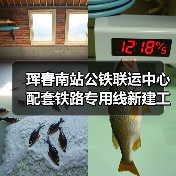 珲春南站公铁联运中心配套铁路专用线新建工程施工（图4）