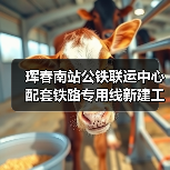 珲春南站公铁联运中心配套铁路专用线新建工程施工（图2）