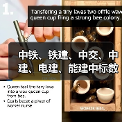 中铁、铁建、中交、中建、电建、能建中标数百亿元大工程！（图4）