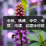 中铁、铁建、中交、中建、电建、能建中标数百亿元大工程！