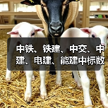 中铁、铁建、中交、中建、电建、能建中标数百亿元大工程！（图2）