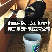 中国驻塔吉克斯坦大使郭志军到华新亚湾公司调研