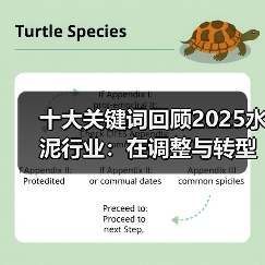 十大关键词回顾2025水泥行业：在调整与转型中探寻新机遇（图2）