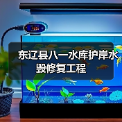 东辽县八一水库护岸水毁修复工程(图4) 东辽县八一水库护岸水毁修复工程(图4)