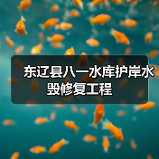东辽县八一水库护岸水毁修复工程(图3) 东辽县八一水库护岸水毁修复工程(图3)