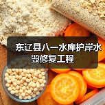 东辽县八一水库护岸水毁修复工程(图1) 东辽县八一水库护岸水毁修复工程(图1)