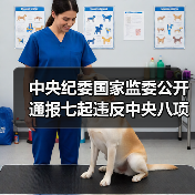 中央纪委国家监委公开通报七起违反中央八项规定精神典型问题（图3）