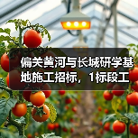 偏关黄河与长城研学基地施工招标，1标段工程信息与要求（图4）