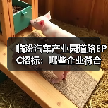 临汾汽车产业园道路EPC招标：哪些企业符合条件？