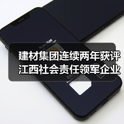 建材集团连续两年获评江西社会责任领军企业 企业如何实现可持续发展？（图4）