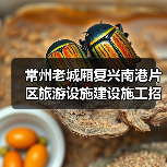 常州老城厢复兴南港片区旅游设施建设施工招标项目最新信息(图2) 常州老城厢复兴南港片区旅游设施建设施工招标项目最新信息(图2)