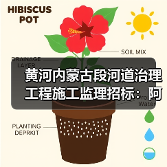黄河内蒙古段河道治理工程施工监理招标:阿拉善盟及三盛公库区段全流程电子招投标机会分析(图2) 黄河内蒙古段河道治理工程施工监理招标:阿拉善盟及三盛公库区段全流程电子招投标机会分析(图2)