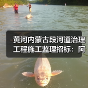 黄河内蒙古段河道治理工程施工监理招标:阿拉善盟及三盛公库区段全流程电子招投标机会分析(图4) 黄河内蒙古段河道治理工程施工监理招标:阿拉善盟及三盛公库区段全流程电子招投标机会分析(图4)