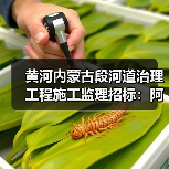 黄河内蒙古段河道治理工程施工监理招标:阿拉善盟及三盛公库区段全流程电子招投标机会分析(图3) 黄河内蒙古段河道治理工程施工监理招标:阿拉善盟及三盛公库区段全流程电子招投标机会分析(图3)