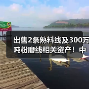 出售2条熟料线及300万吨粉磨线相关资产！中国建材旗下一大型企业或成历史（图3）