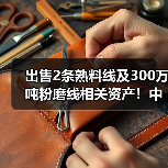 出售2条熟料线及300万吨粉磨线相关资产！中国建材旗下一大型企业或成历史（图4）
