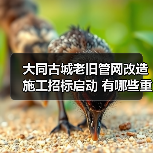 大同古城老旧管网改造施工招标启动 有哪些重点工程?(图4) 大同古城老旧管网改造施工招标启动 有哪些重点工程?(图4)