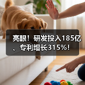 亮眼!研发投入185亿、专利增长315%!(图2) 亮眼!研发投入185亿、专利增长315%!(图2)