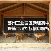 苏州工业园区新建高中桩基工程招标信息解析