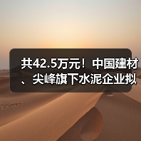 共42.5万元！中国建材、尖峰旗下水泥企业拟获省级研发补助（图3）