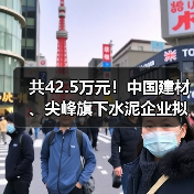 共42.5万元！中国建材、尖峰旗下水泥企业拟获省级研发补助（图4）