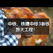 中铁、铁建中标3条铁路大工程!(图2) 中铁、铁建中标3条铁路大工程!(图2)