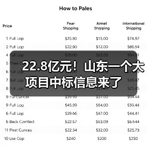 22.8亿元！山东一个大项目中标信息来了