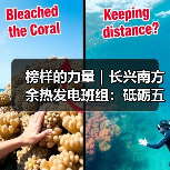 榜样的力量|长兴南方余热发电班组:砥砺五载铸匠心 绿电赋能显担当(图4) 榜样的力量|长兴南方余热发电班组:砥砺五载铸匠心 绿电赋能显担当(图4)