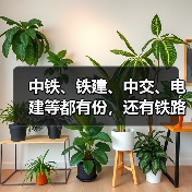 中铁、铁建、中交、电建等都有份,还有铁路专用线!(图3) 中铁、铁建、中交、电建等都有份,还有铁路专用线!(图3)