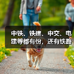 中铁、铁建、中交、电建等都有份,还有铁路专用线!(图2) 中铁、铁建、中交、电建等都有份,还有铁路专用线!(图2)