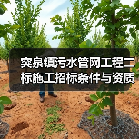 突泉镇污水管网工程二标施工招标条件与资质要求解析