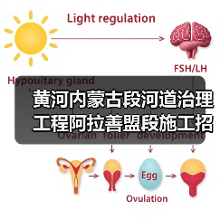 黄河内蒙古段河道治理工程阿拉善盟段施工招标启动（图3）