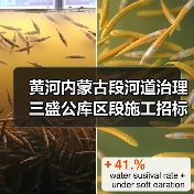 黄河内蒙古段河道治理三盛公库区段施工招标信息详解