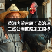 黄河内蒙古段河道治理三盛公库区段施工招标信息详解（图2）
