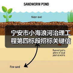 宁安市小海浪河治理工程第四标段招标关键信息解析（图4）