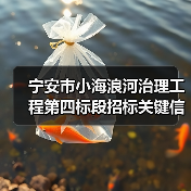 宁安市小海浪河治理工程第四标段招标关键信息解析（图3）