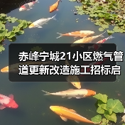 赤峰宁城21小区燃气管道更新改造施工招标启动（图3）