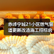 赤峰宁城21小区燃气管道更新改造施工招标启动（图2）
