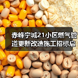 赤峰宁城21小区燃气管道更新改造施工招标启动（图4）
