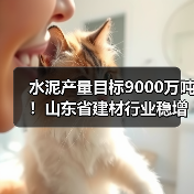 水泥产量目标9000万吨！山东省建材行业稳增长工作方案发布（图4）